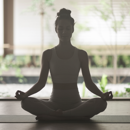 silhouette-meditation-tapis-jardin-zen