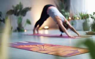 silhouette-yoga-tapis-plantes-lumiere