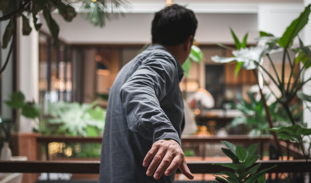 silhouette-adulte-dos-plantes-interieur