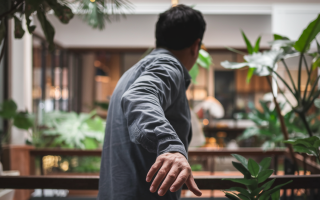 silhouette-adulte-dos-plantes-interieur