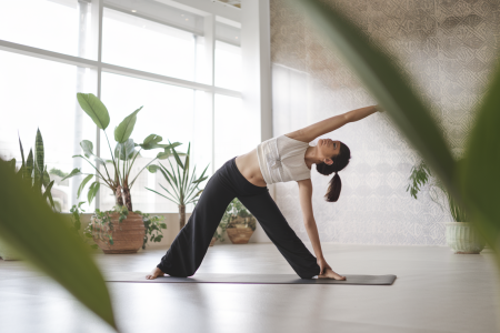 personne-yoga-triangle-studio-plantes