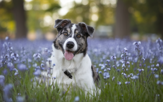 personne-omoplate-jeu-lumiere