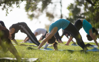 yoga-plein-air-nature-silhouettes