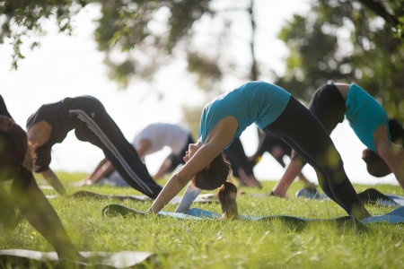 yoga-plein-air-nature-silhouettes